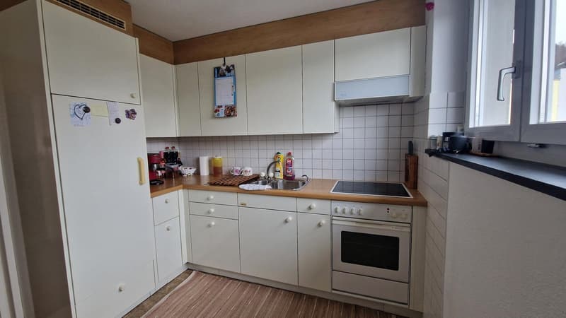 Living in the Green 3-Room Apartment (3)