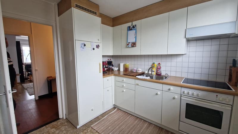 Living in the Green 3-Room Apartment (2)