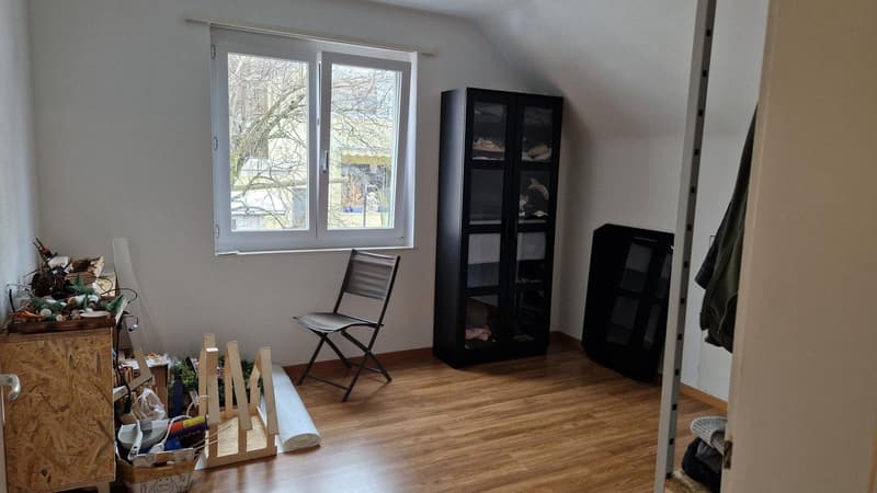Living in the Green 3-Room Apartment (6)