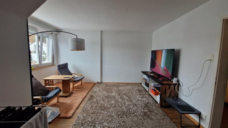 Living in the Green 3-Room Apartment (4)
