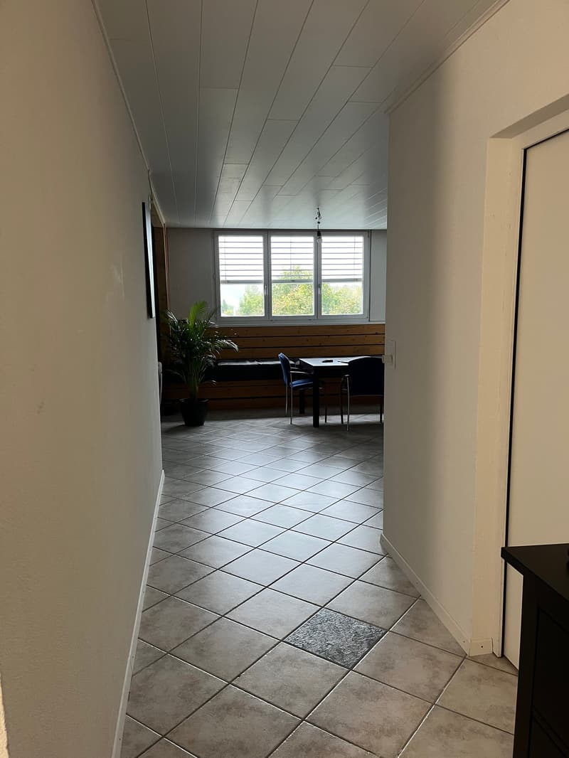 1 1/2-Zimmerwohnung (3)