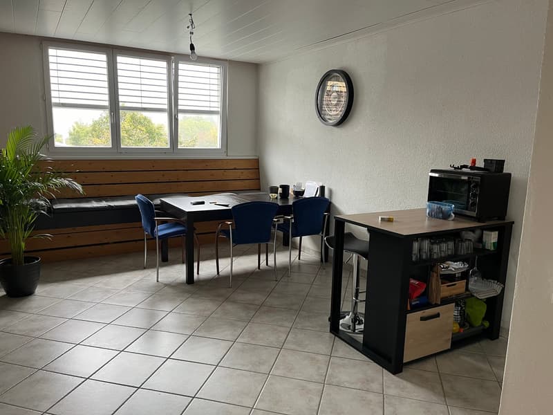 1 1/2-Zimmerwohnung (5)