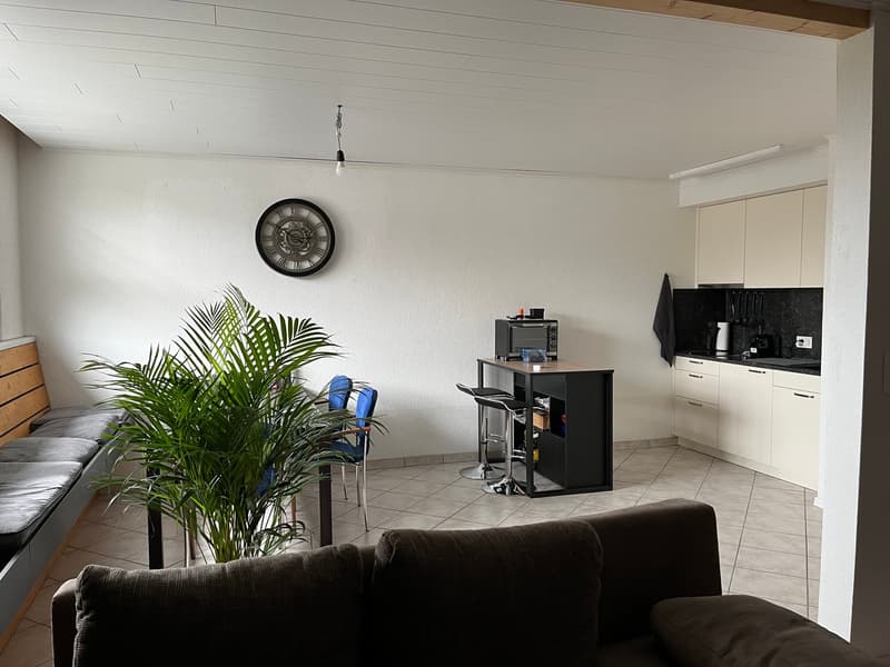 1 1/2-Zimmerwohnung (4)