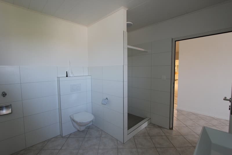 1 1/2-Zimmerwohnung (8)