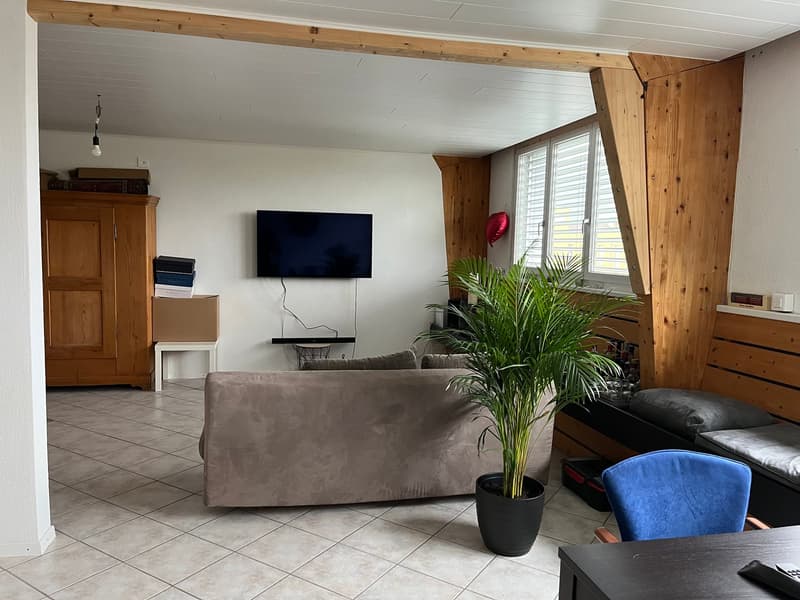 1 1/2-Zimmerwohnung (1)