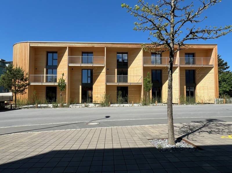 Vivere nel verde - case a schiera moderne (prima locazione) (11)