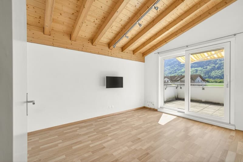 Appartamento unico mansardato di 4,5 locali con giardino invernale bellissimo in vendita (11)