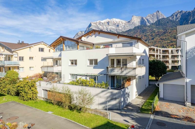 Appartamento unico mansardato di 4,5 locali con giardino invernale bellissimo in vendita (2)
