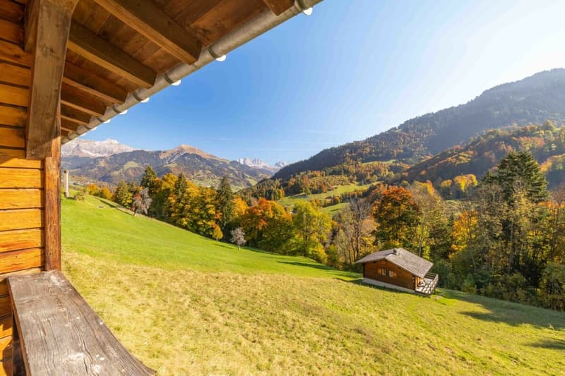 Idyllic Maiensäss for sale (12)