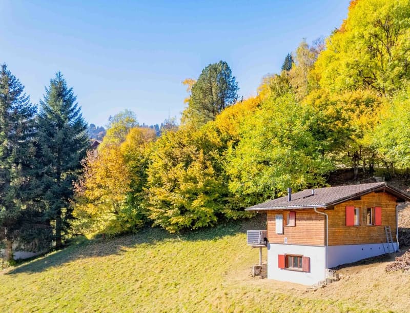 Idyllic Maiensäss for sale (8)