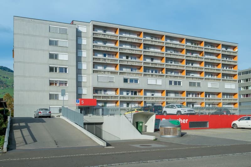 Appartamento 2.5 locali in posizione centrale (8)