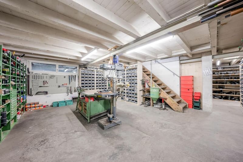 Locali commerciali con laboratorio e ufficio - Perfetti per la tua azienda! (13)