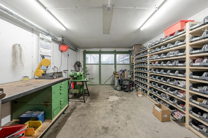 Locali commerciali con laboratorio e ufficio - Perfetti per la tua azienda! (12)
