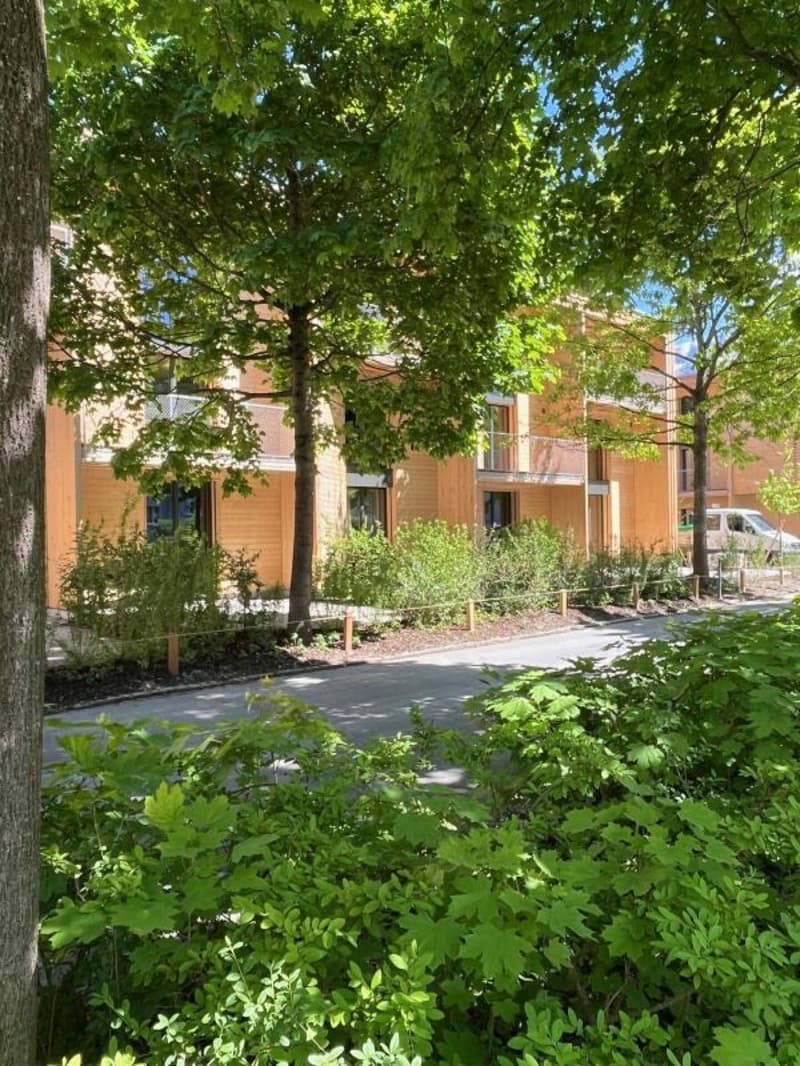 Case a schiera moderne di 6 locali con galleria elegante (prima locazione) (24)