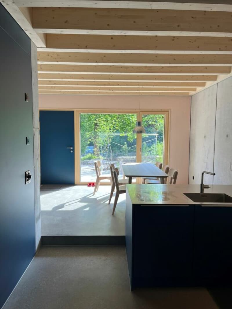 Case a schiera moderne di 6 locali con galleria elegante (prima locazione) (5)