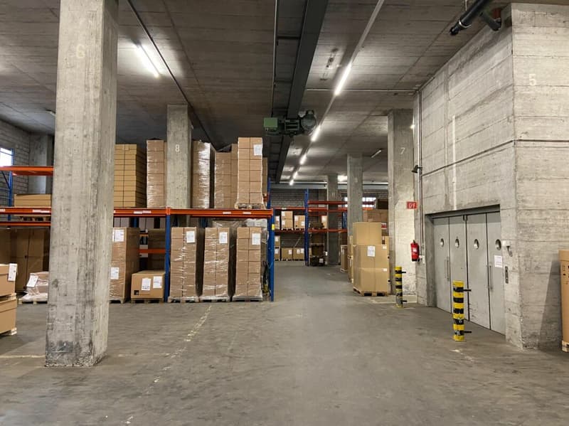 Beaucoup d'espace pour votre entreprise - entrepôt avec ascenseur & rampe (6)