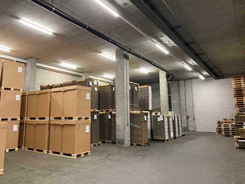 Beaucoup d'espace pour votre entreprise - entrepôt avec ascenseur & rampe (5)