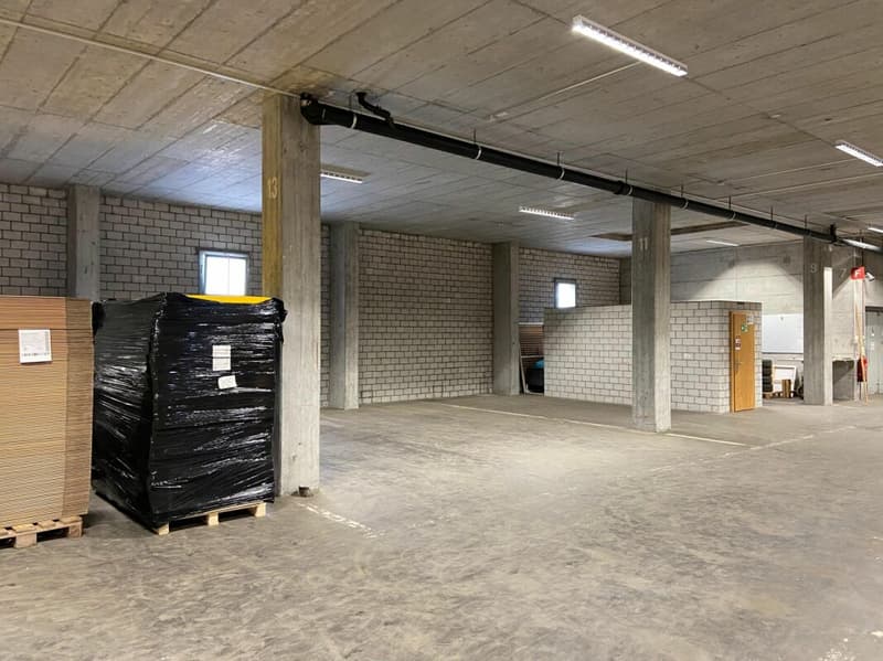 Beaucoup d'espace pour votre entreprise - entrepôt avec ascenseur & rampe (8)