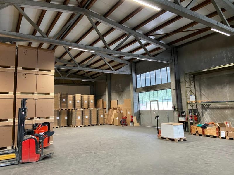 Beaucoup d'espace pour votre entreprise - entrepôt avec ascenseur & rampe (2)