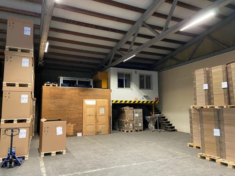Beaucoup d'espace pour votre entreprise - entrepôt avec ascenseur & rampe (3)