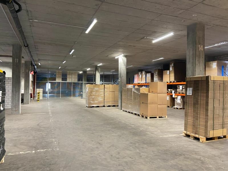 Beaucoup d'espace pour votre entreprise - entrepôt avec ascenseur & rampe (7)