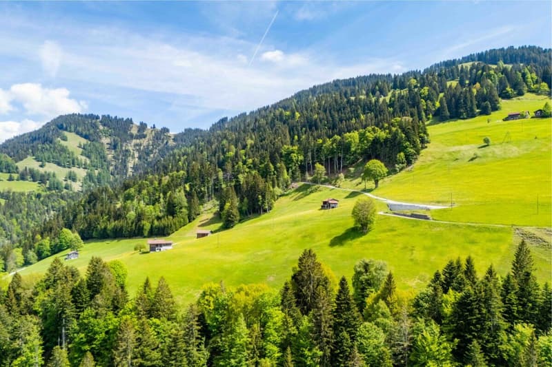 Magia del chalet 4,5 locali appartamento a due piani con vista mozzafiato (33)