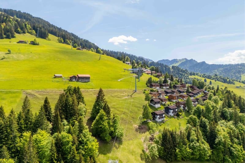 Magia del chalet 4,5 locali appartamento a due piani con vista mozzafiato (35)