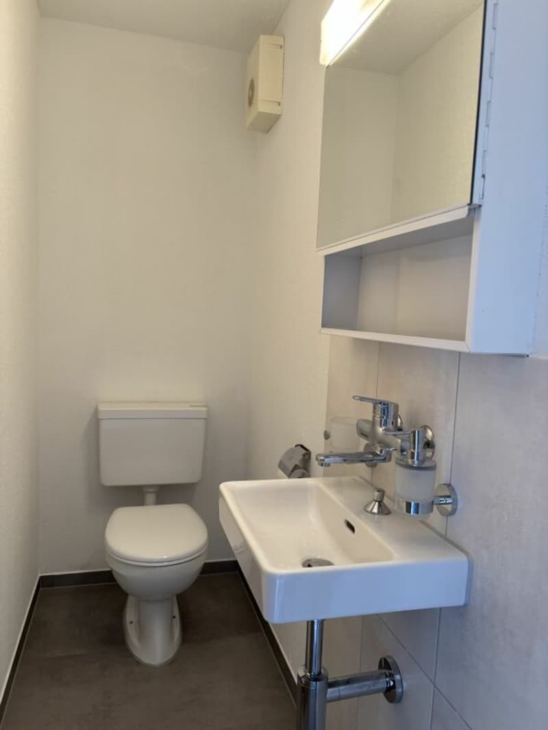 Maison de rang exclusive de 5,5 pièces directement sur le lac (9)