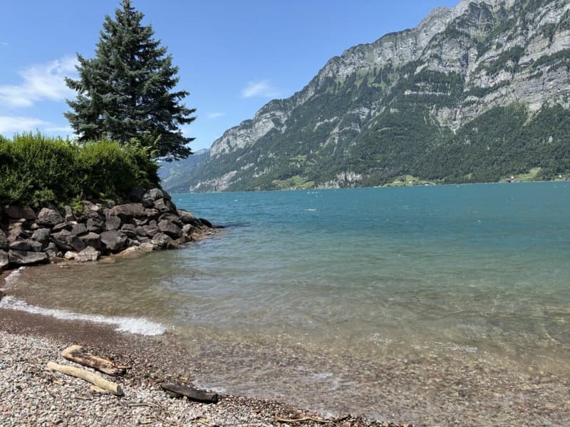 Maison de rang exclusive de 5,5 pièces directement sur le lac (21)