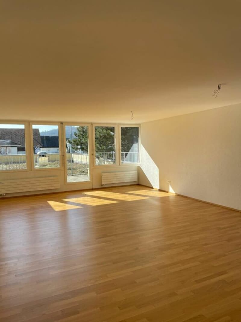 Central 1.0-room apartment in the center of Buchs (1)