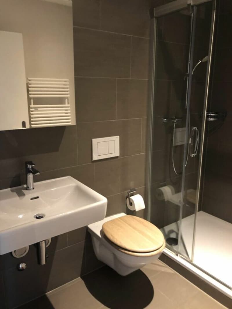 Central 1.0-room apartment in the center of Buchs (4)