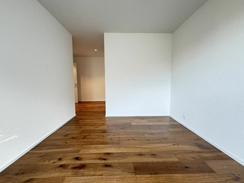 Exclusive 5.5 room terrace apartment with a view of Lake Walensee (19)