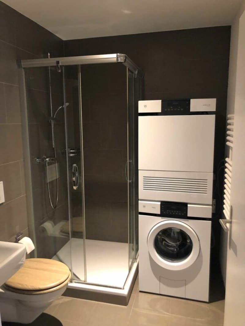 Central 1.0-room apartment in the center of Buchs (5)