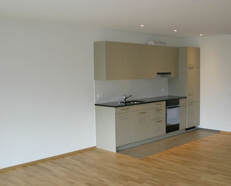 Central 1.0-room apartment in the center of Buchs (2)