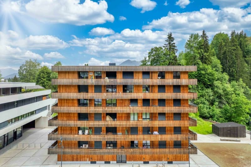 Hochwertige 1.5 Zimmer-Ferienwohnung - Toplage an der Talstation (1)