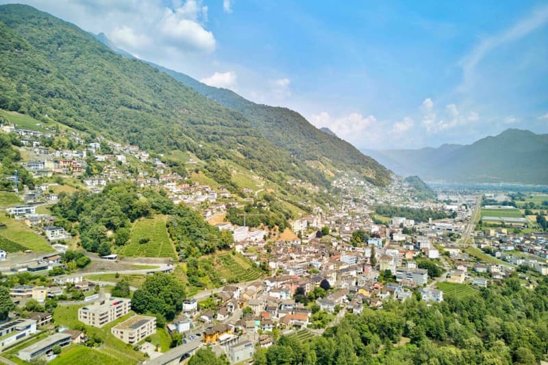Appartamento vacanze 3,5 locali ben curato sul Lago Maggiore a Tenero (25)