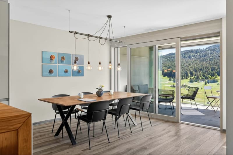 Vivre avec une vue - appartement 3.5 pièces de haute qualité (adapté comme résidence secondaire) avec balcon et terrasse (3)