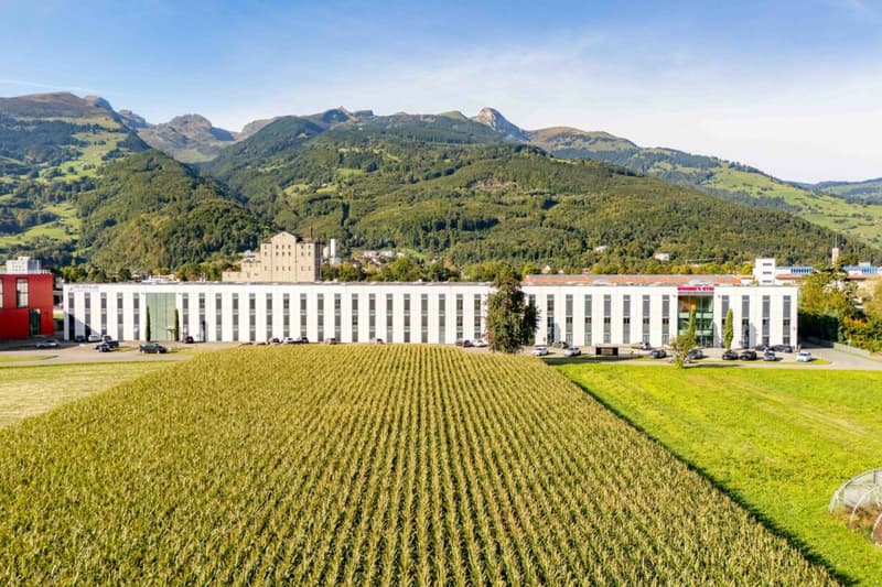 Attraktive Büroräumlichkeiten ab 250 m2  - hell, modern und zentral (12)