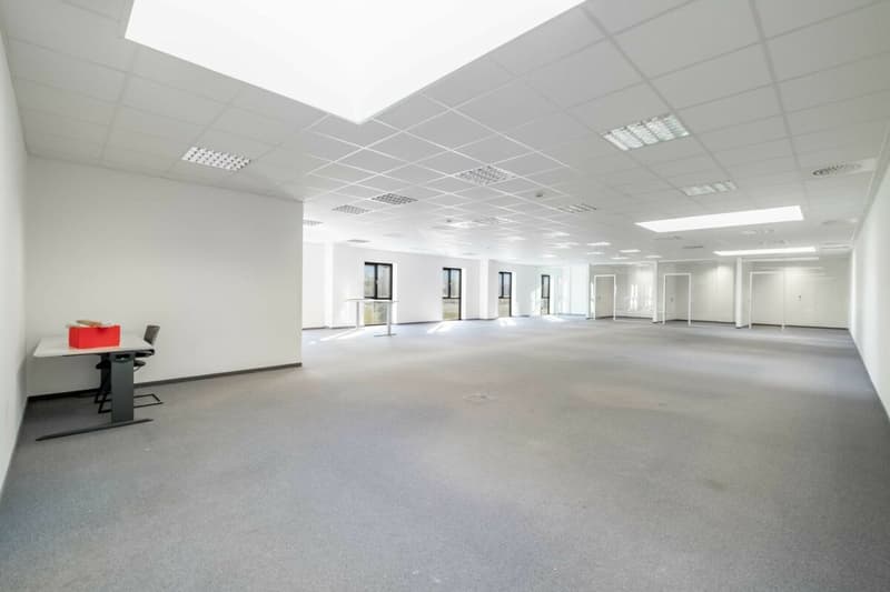 Attraktive Büroräumlichkeiten ab 250 m2  - hell, modern und zentral (5)