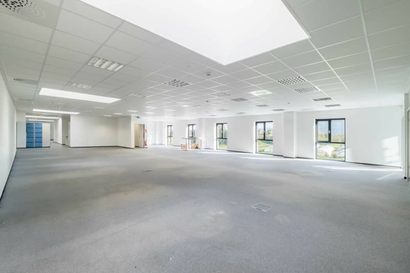 Attraktive Büroräumlichkeiten ab 250 m2  - hell, modern und zentral (6)