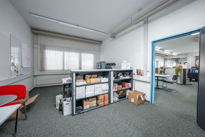 Gewerbepark an Top Lage - Halle, flexible Gewerbeflächen und Erstbezug der Büroräumlichkeiten (10)