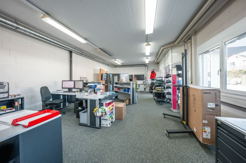Gewerbepark an Top Lage - Halle, flexible Gewerbeflächen und Erstbezug der Büroräumlichkeiten (9)