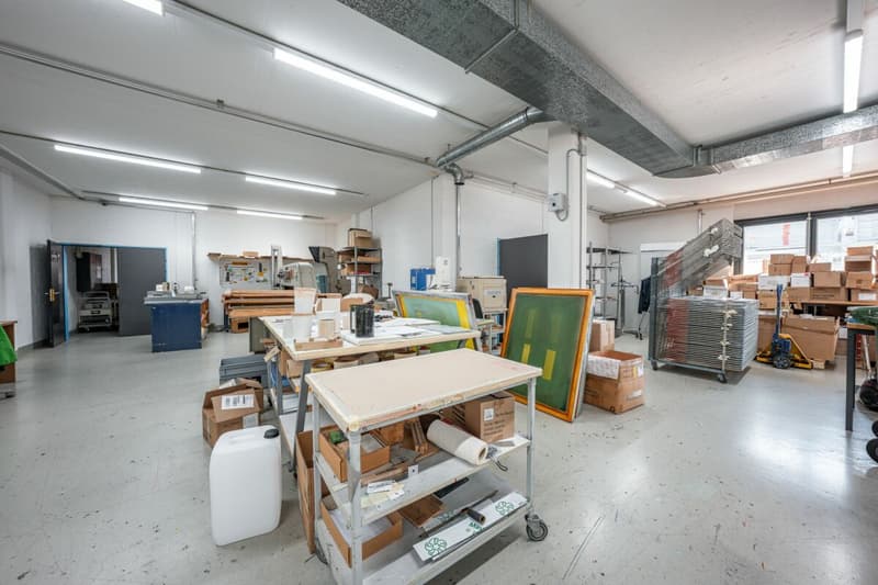 Gewerbepark an Top Lage - Halle, flexible Gewerbeflächen und Erstbezug der Büroräumlichkeiten (13)
