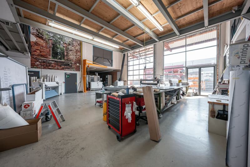 Gewerbepark an Top Lage - Halle, flexible Gewerbeflächen und Erstbezug der Büroräumlichkeiten (7)