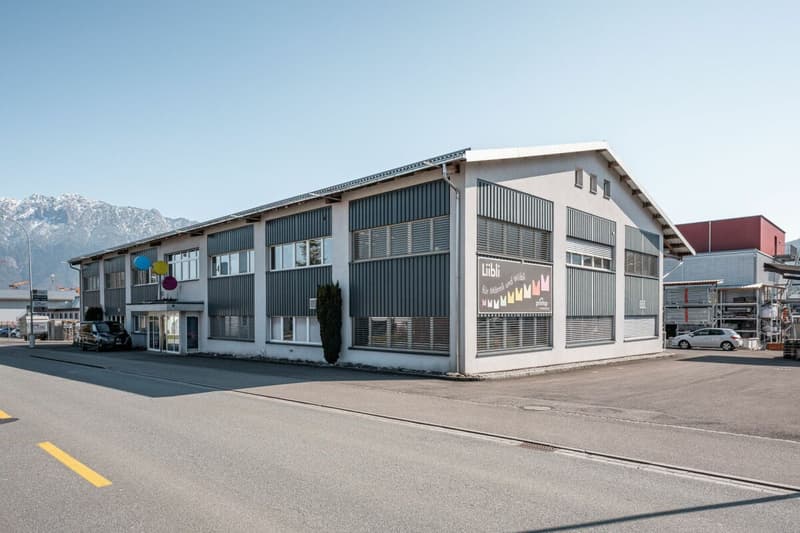 Gewerbepark an Top Lage - Halle, flexible Gewerbeflächen und Erstbezug der Büroräumlichkeiten (2)