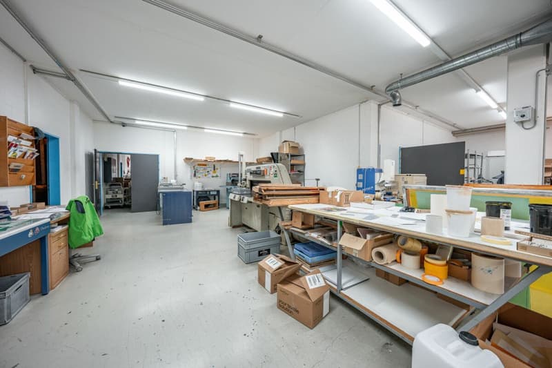 Gewerbepark an Top Lage - Halle, flexible Gewerbeflächen und Erstbezug der Büroräumlichkeiten (11)