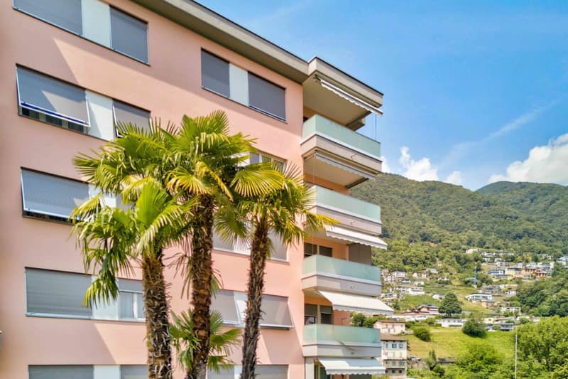 Gepflegte 3.5 Zimmer-Ferienwohnung am Lago Maggiore in Tenero (3)