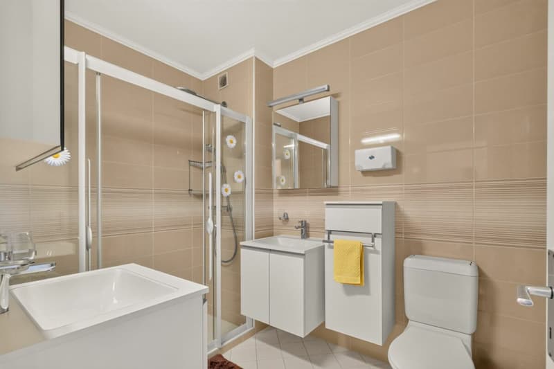 Gepflegte 3.5 Zimmer-Ferienwohnung am Lago Maggiore in Tenero (14)