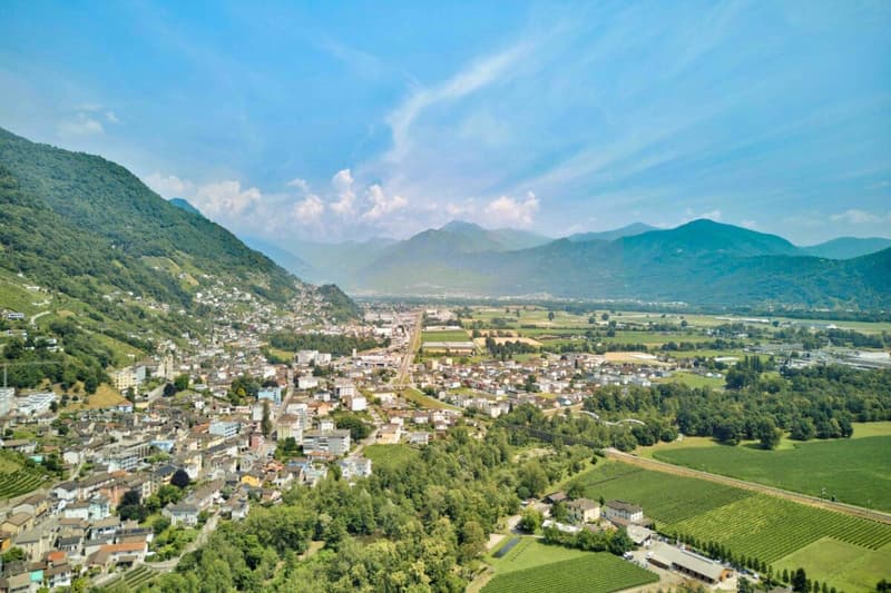 Gepflegte 3.5 Zimmer-Ferienwohnung am Lago Maggiore in Tenero (21)