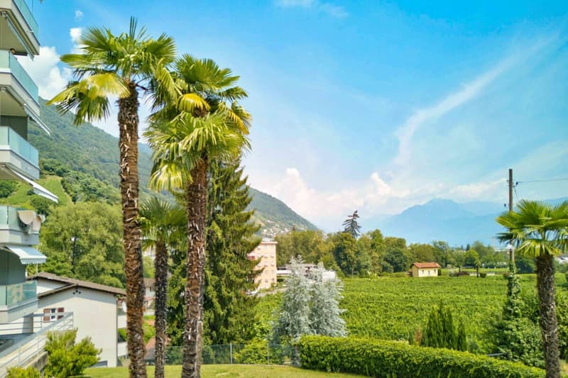 Gepflegte 3.5 Zimmer-Ferienwohnung am Lago Maggiore in Tenero (26)